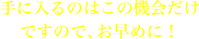 手に入るのはこの機会だけですので、お早めに!